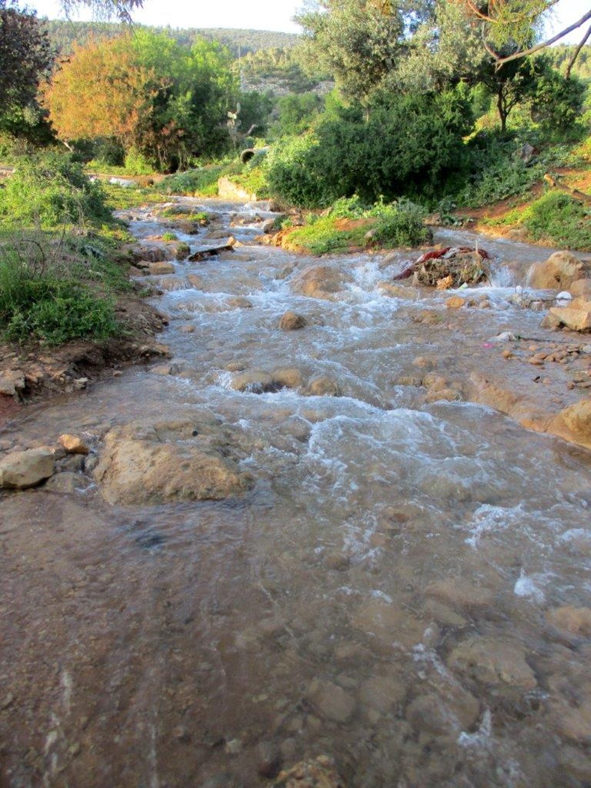 הנחלים פרוד ועצמון • גלריה מרהיבה