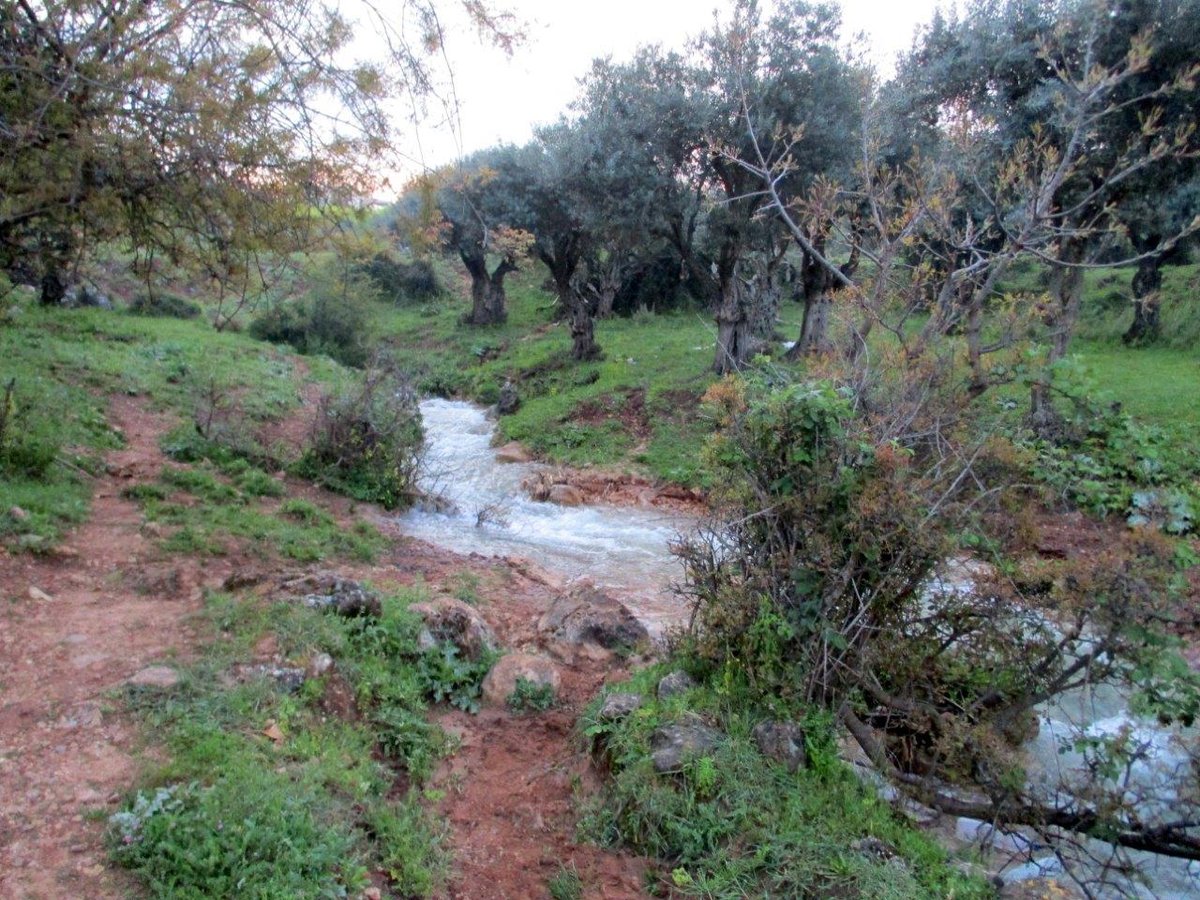 הנחלים פרוד ועצמון • גלריה מרהיבה