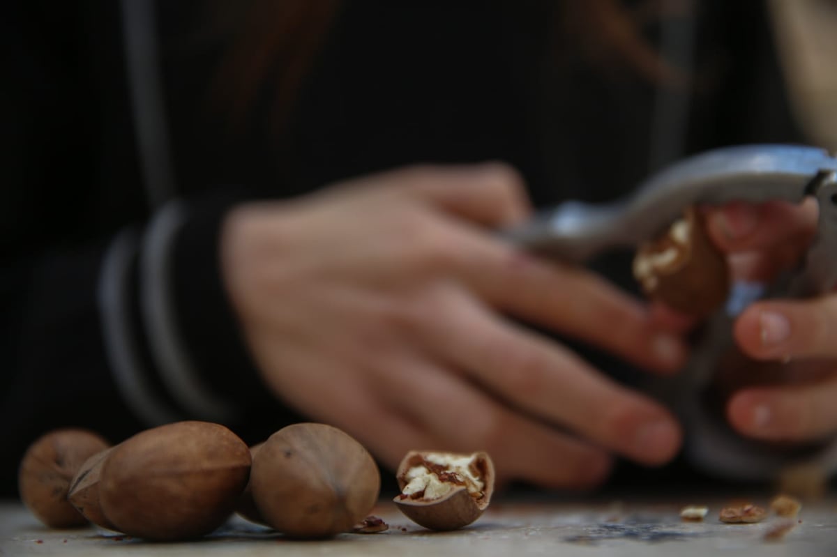 פסח: הילדים מפצחים את האגוזים והשקדים