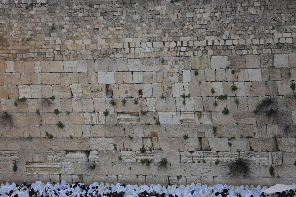 הברכה השנתית: צפו ב'ברכת כהנים' בכותל המערבי