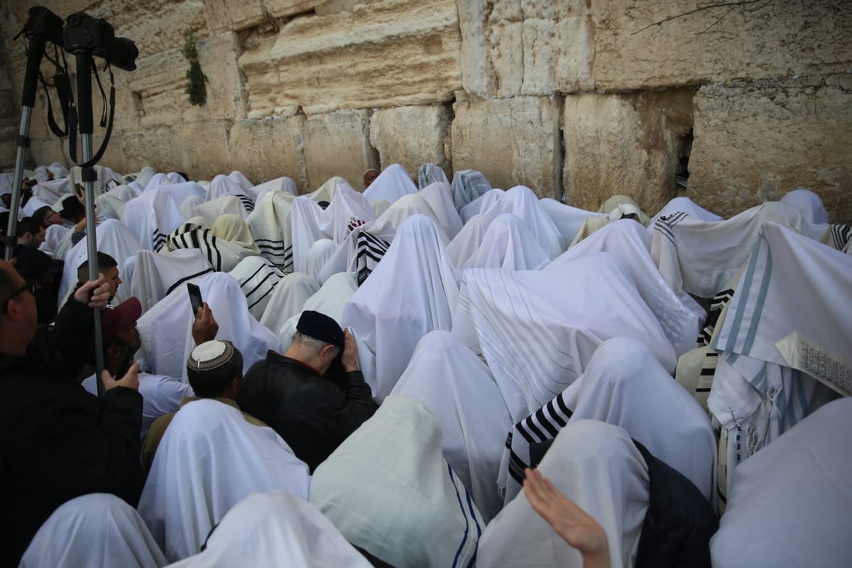 הברכה השנתית: צפו ב'ברכת כהנים' בכותל המערבי