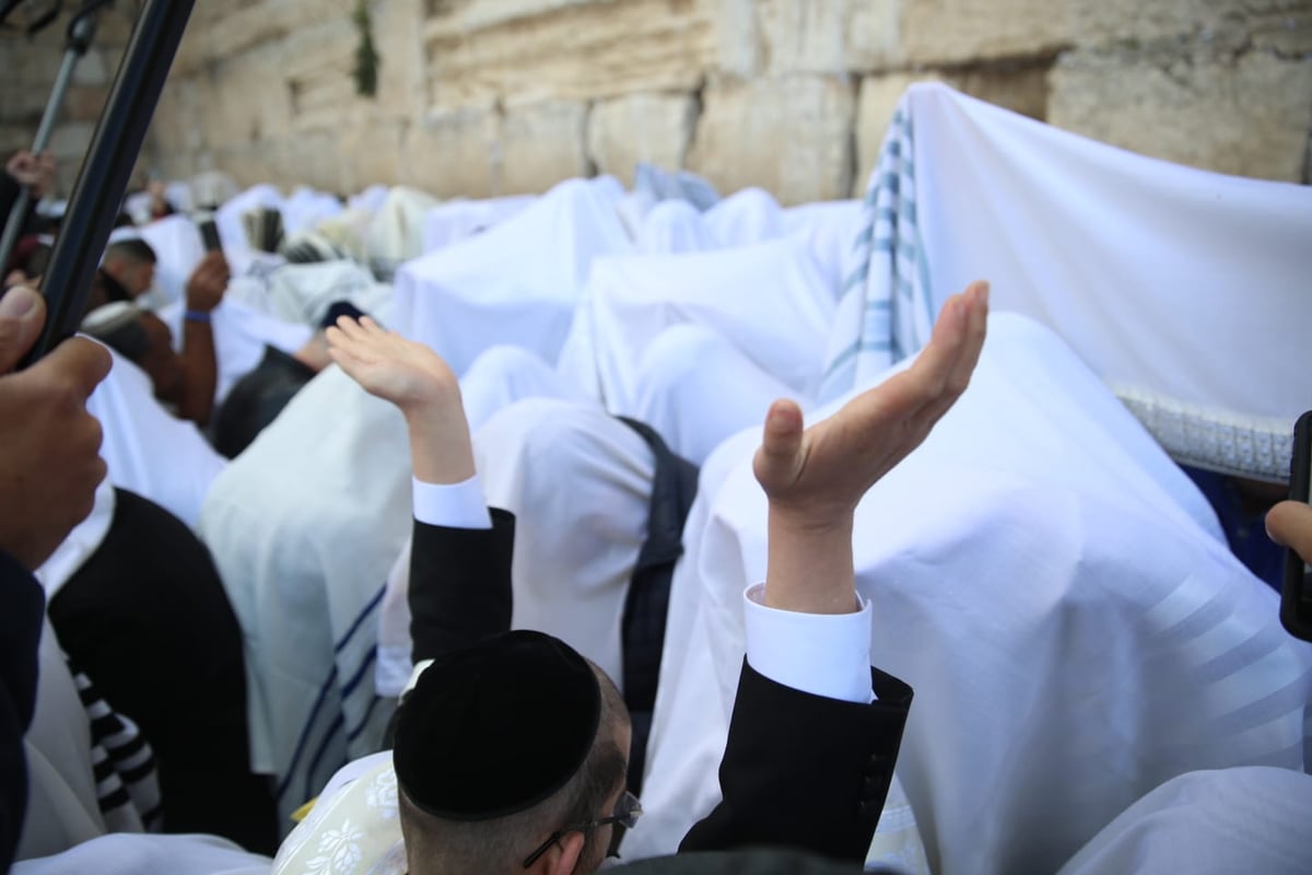 הברכה השנתית: צפו ב'ברכת כהנים' בכותל המערבי