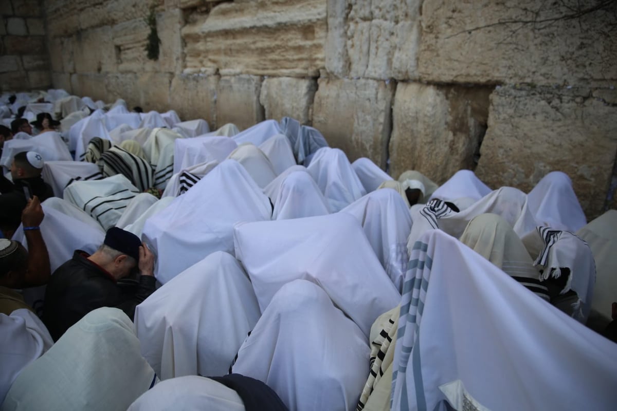 הברכה השנתית: צפו ב'ברכת כהנים' בכותל המערבי