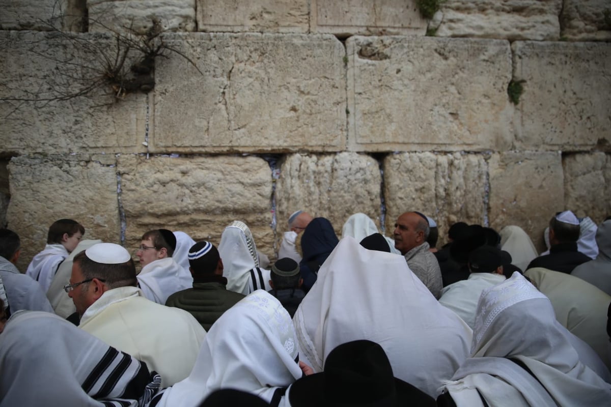 הברכה השנתית: צפו ב'ברכת כהנים' בכותל המערבי