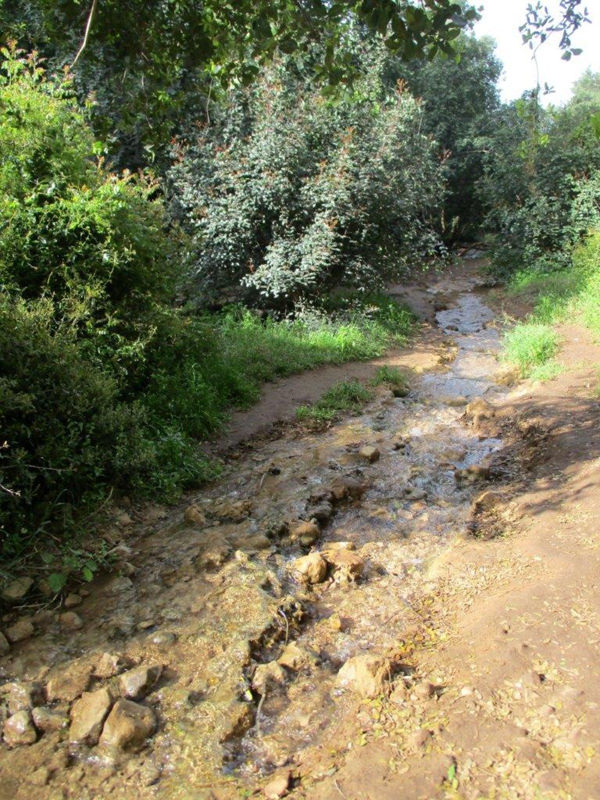 נחל פרוד בגליל העליון בגלריה מרהיבה