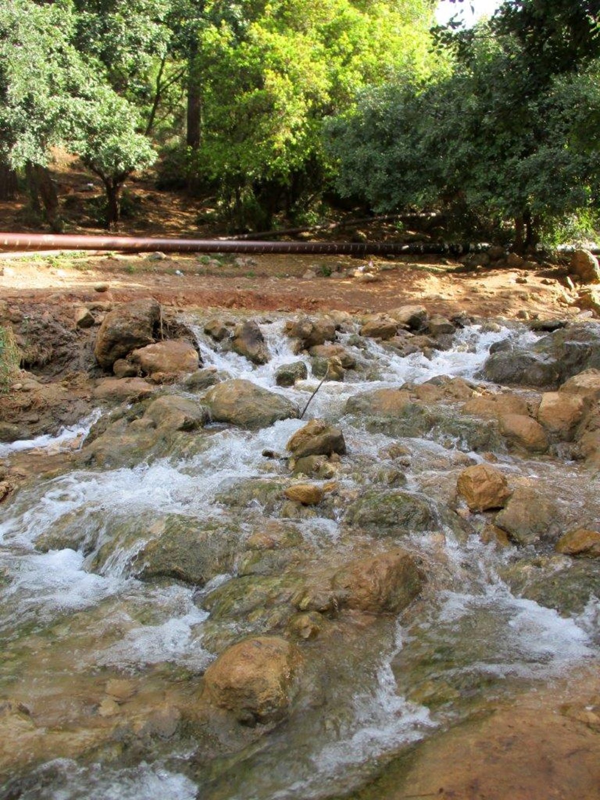 נחל פרוד בגליל העליון בגלריה מרהיבה