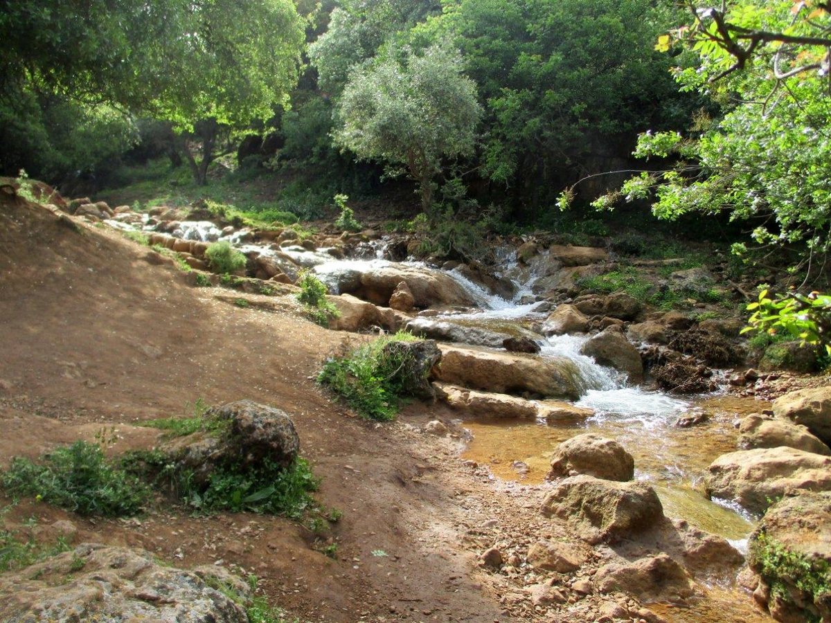 נחל פרוד בגליל העליון בגלריה מרהיבה