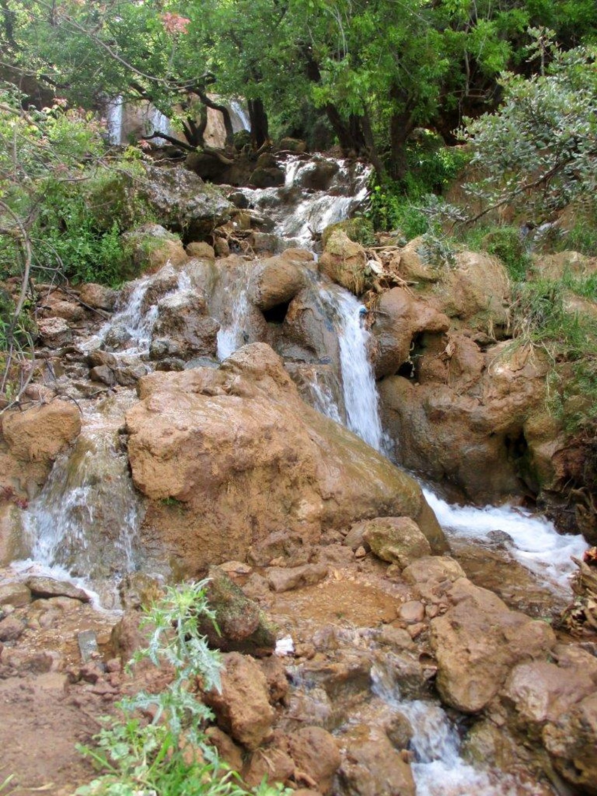 נחל פרוד בגליל העליון בגלריה מרהיבה