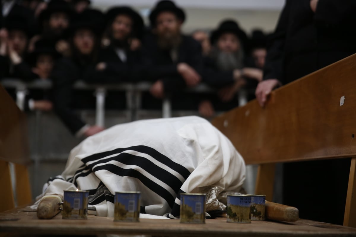 בהלוויה: מונה ה'ממשיך' לאדמו"ר מקאליב