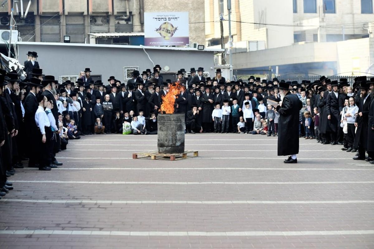 מההכנה עד לחג: פסח עם האדמו"ר מויז'ניץ