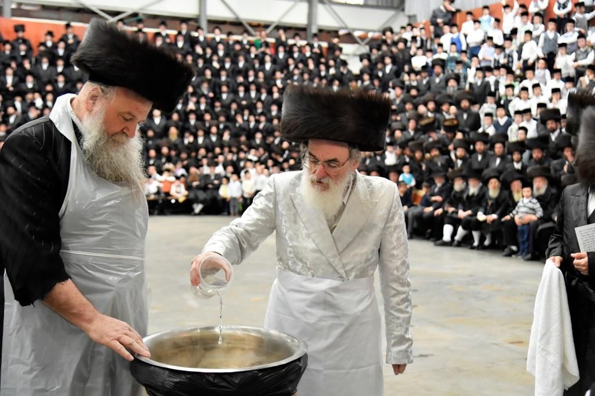 מההכנה עד לחג: פסח עם האדמו"ר מויז'ניץ