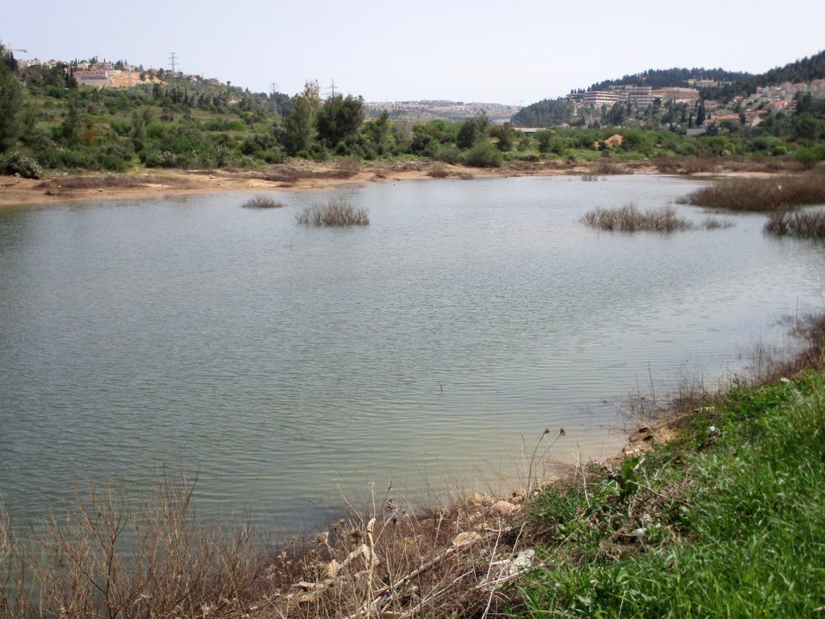 מאגר בית זית המלא • גלריה שופעת במים