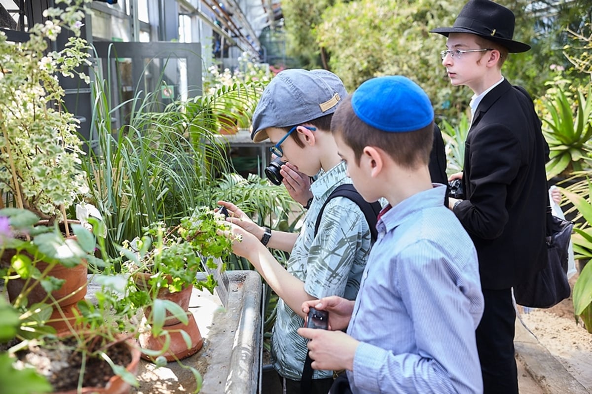 מוסקבה: הילדים אמרו ברכת אילנות בגן הבוטני