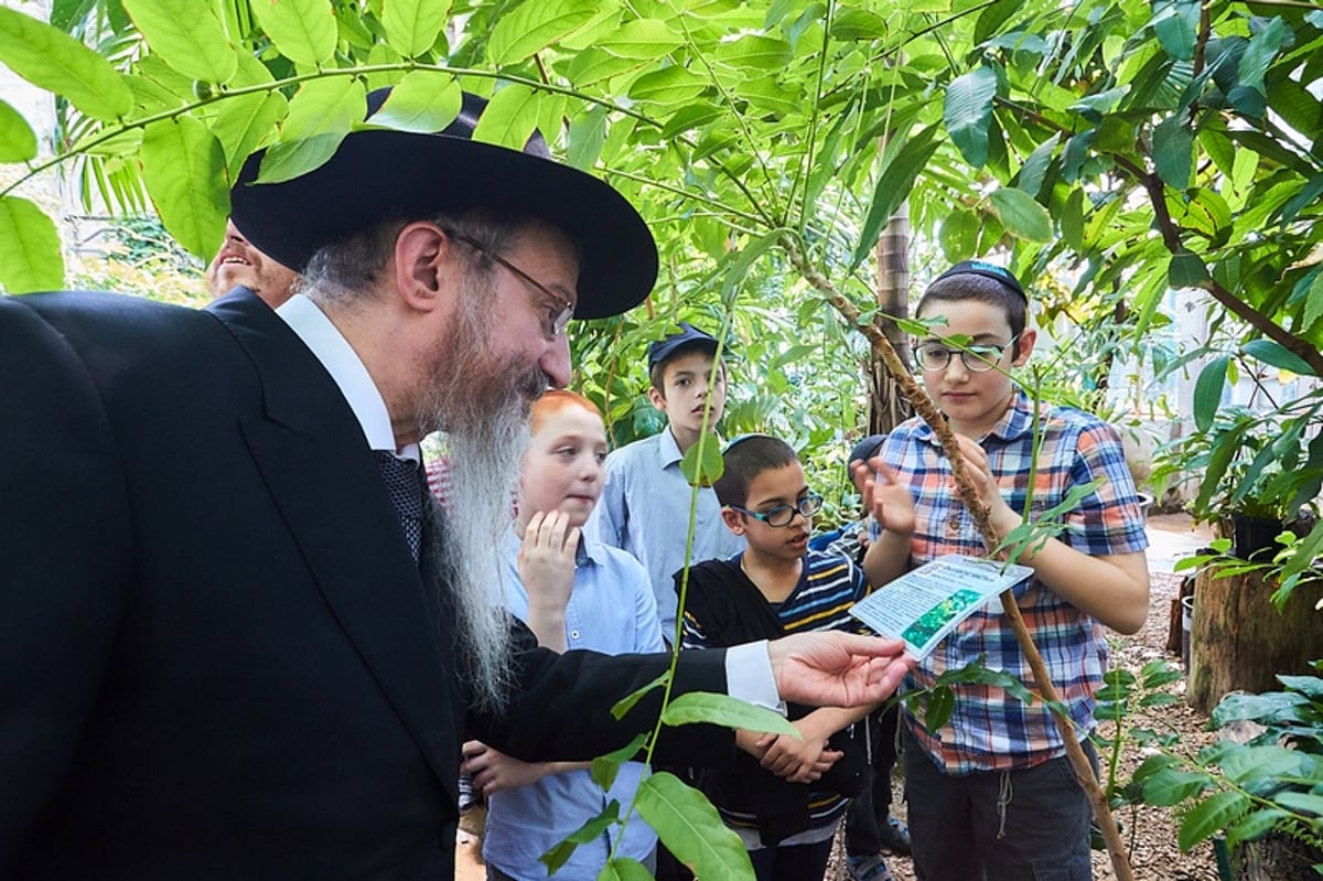 מוסקבה: הילדים אמרו ברכת אילנות בגן הבוטני