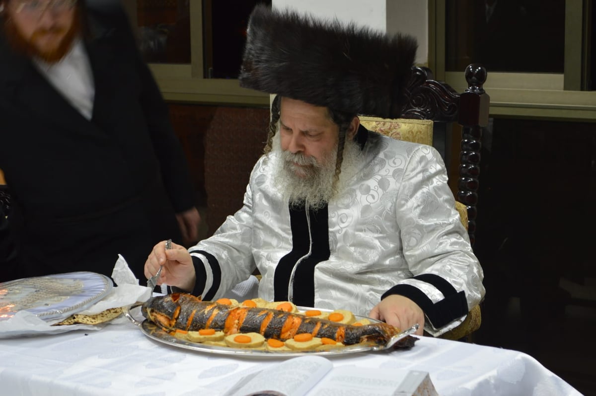 'טיש פסח שני' בחצר נדבורנה-ביתר. תיעוד