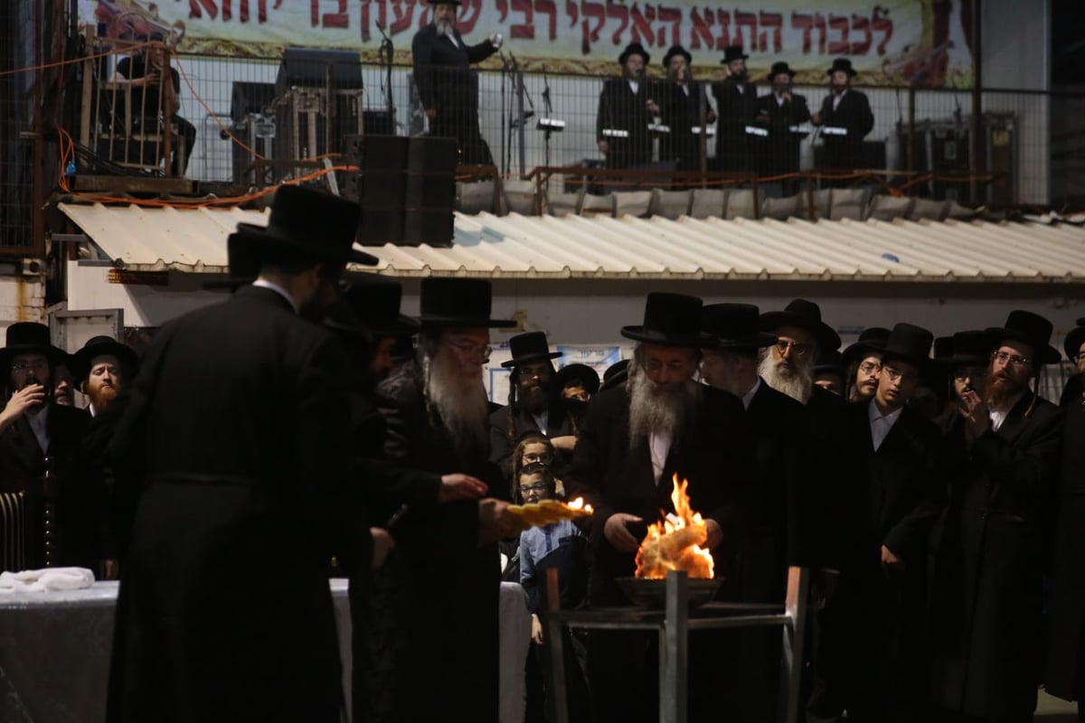 ערב ל"ג בעומר: האדמו"ר שכבר הדליק במירון