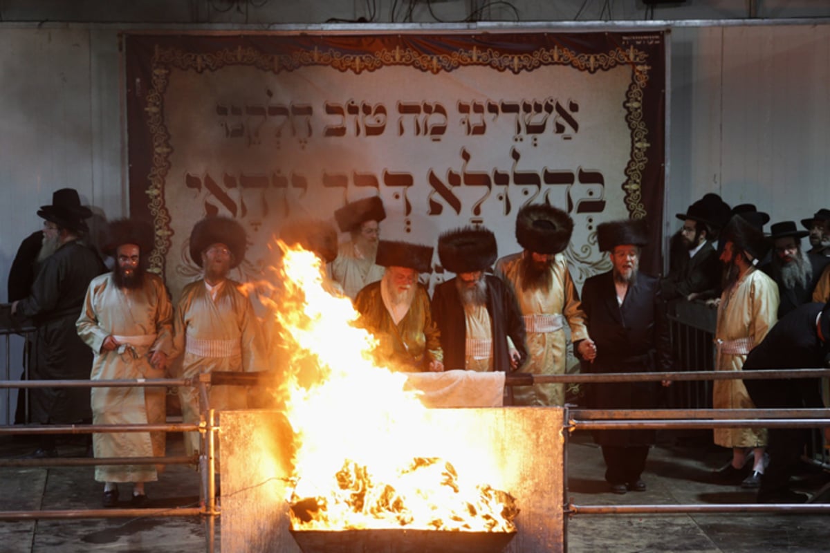 ניגון זלוטשוב: נכד המלחין מוטי גולדמן מבצע