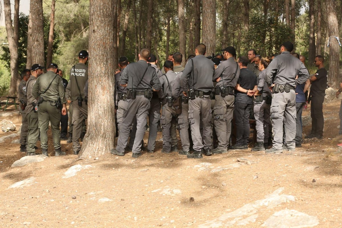 גל השריפות: ישראל מבקשת סיוע בינלאומי