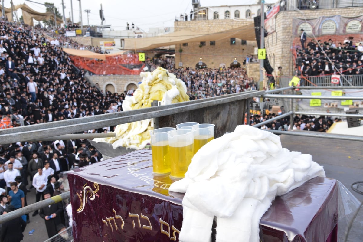 ההדלקה שנעלה את חגיגות ל"ג בעומר • צפו