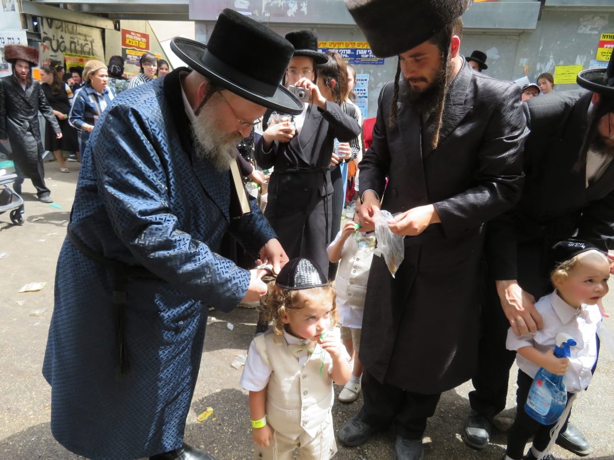 האדמו"ר מנדבורנא באניא במעמד ה'חלאקה' במירון