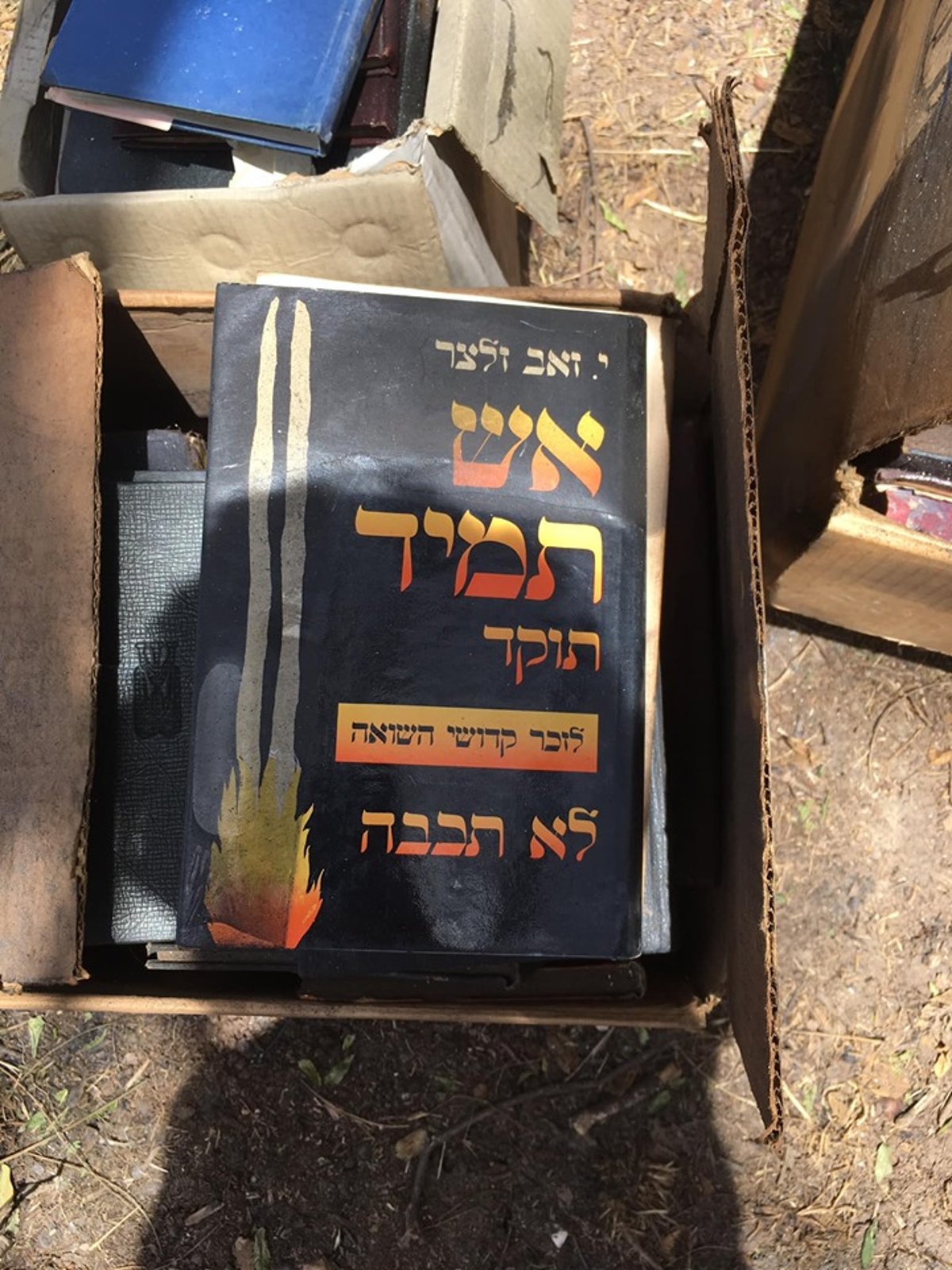 ביתו של קרליבך נשרף; הספרים ניצלו • צפו