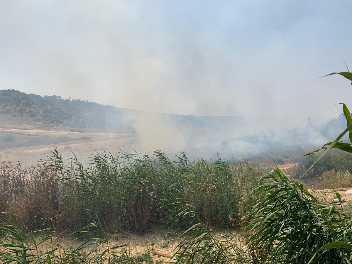 שריפה בבית שמש: חרדים מחלצים ספרי תורה