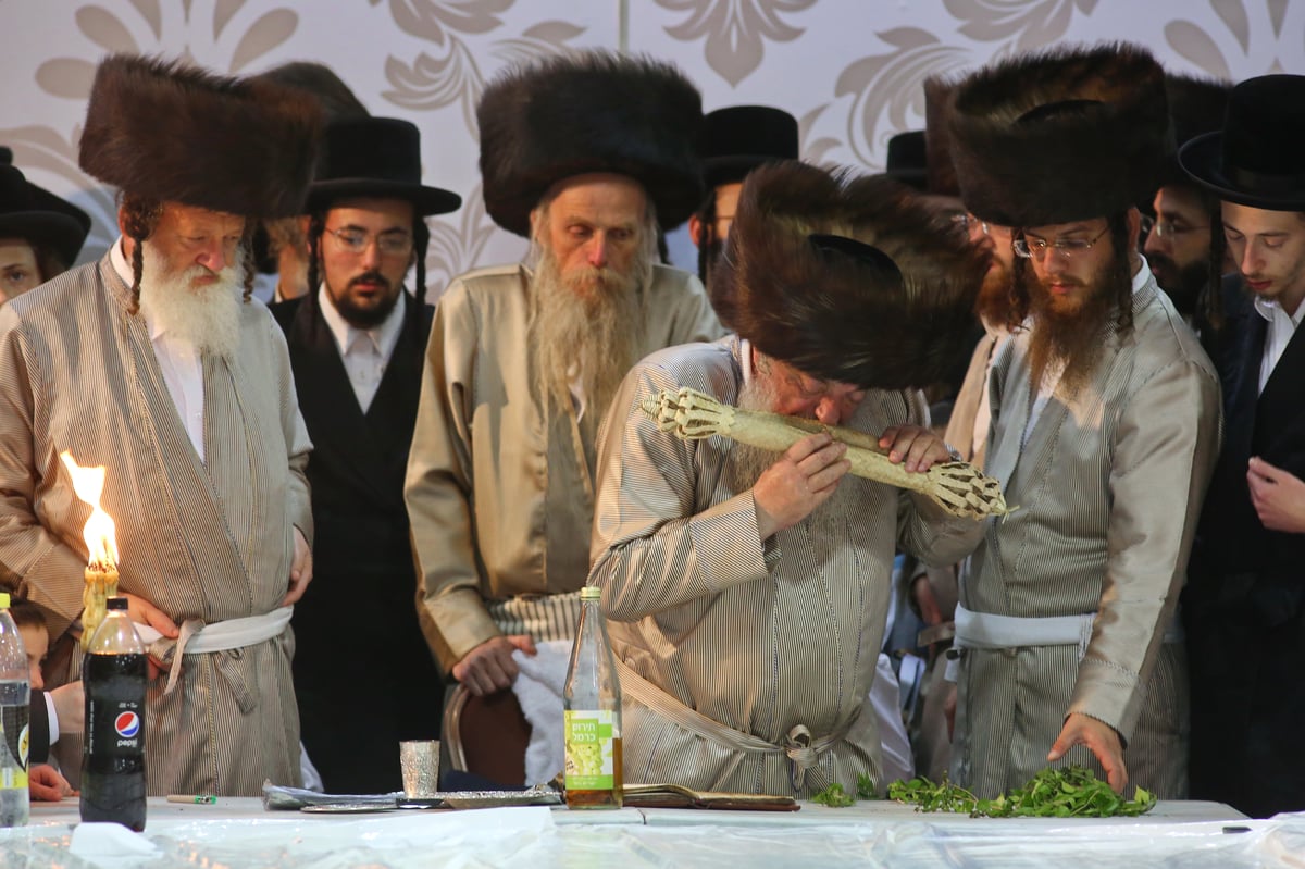 האדמו"ר מלעלוב בשבת התאחדות עם הבחורים השקדנים