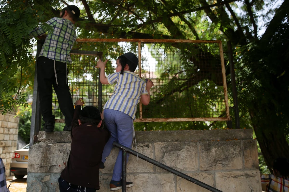 הילדים קוטפים את הפרחים לכבוד שבועות