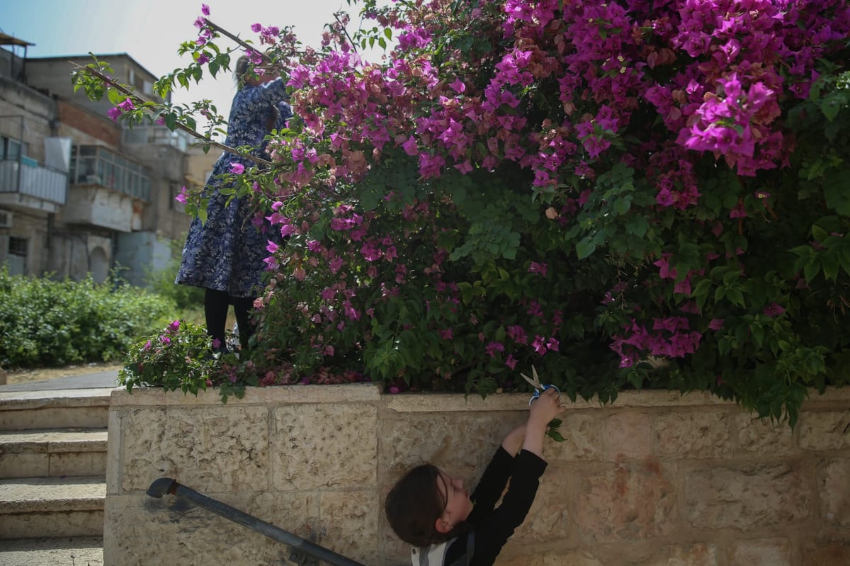 הילדים קוטפים את הפרחים לכבוד שבועות