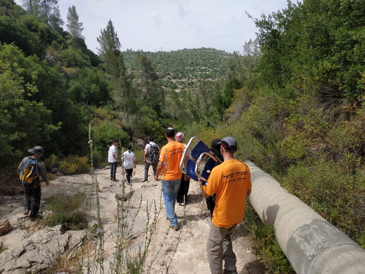 מורה התייבשה בנחל שבהרי ירושלים - וחולצה