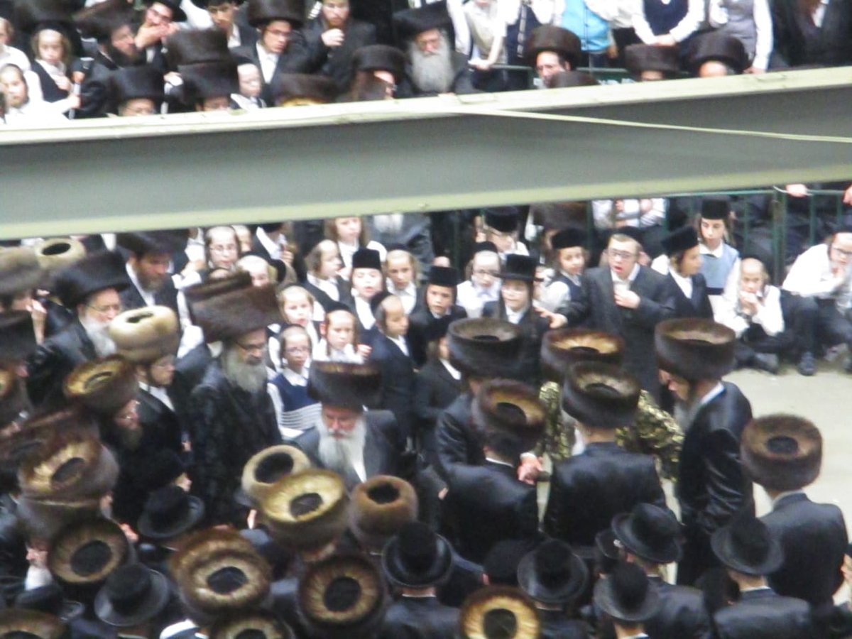 אלפים בחתונת נכד הרבי מויז'ניץ • תיעוד