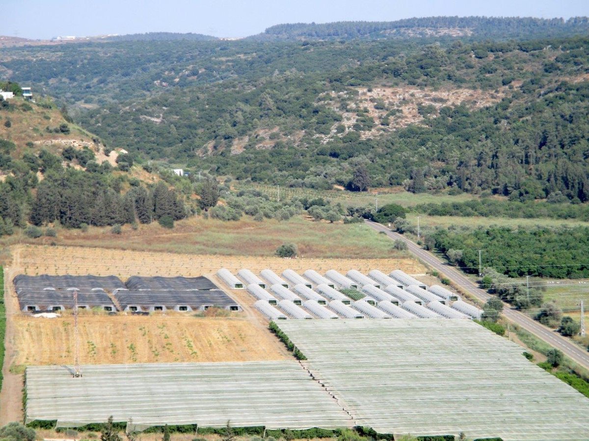 סיור ליערות הכרמל דרך עדשת המצלמה