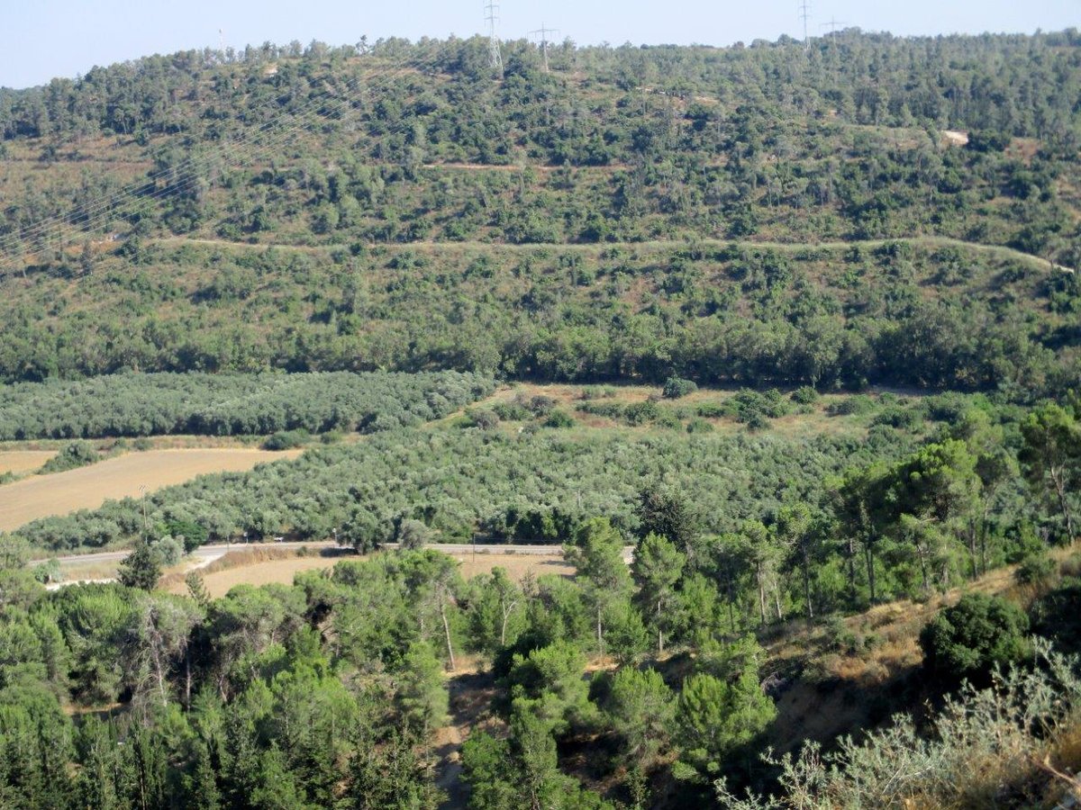 סיור ליערות הכרמל דרך עדשת המצלמה