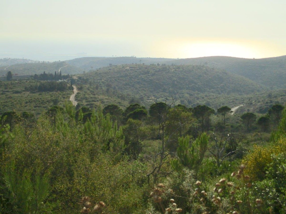 סיור ליערות הכרמל דרך עדשת המצלמה