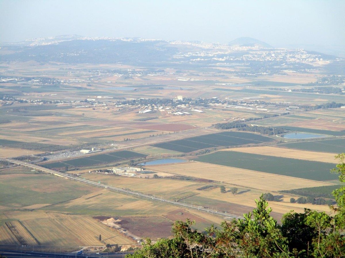 סיור ליערות הכרמל דרך עדשת המצלמה