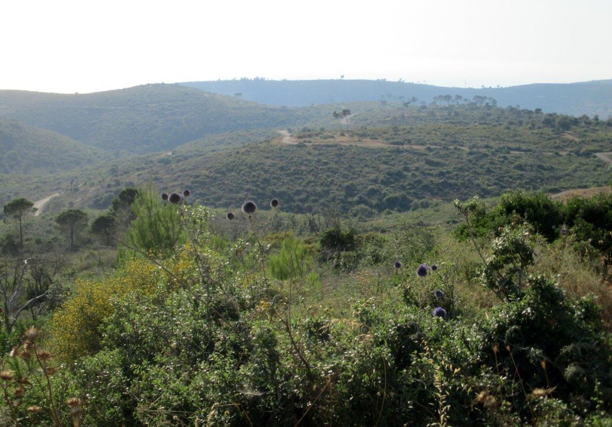 סיור ליערות הכרמל דרך עדשת המצלמה