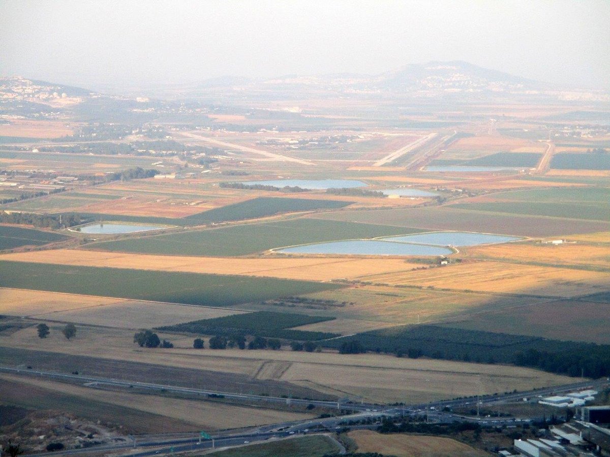 סיור ליערות הכרמל דרך עדשת המצלמה