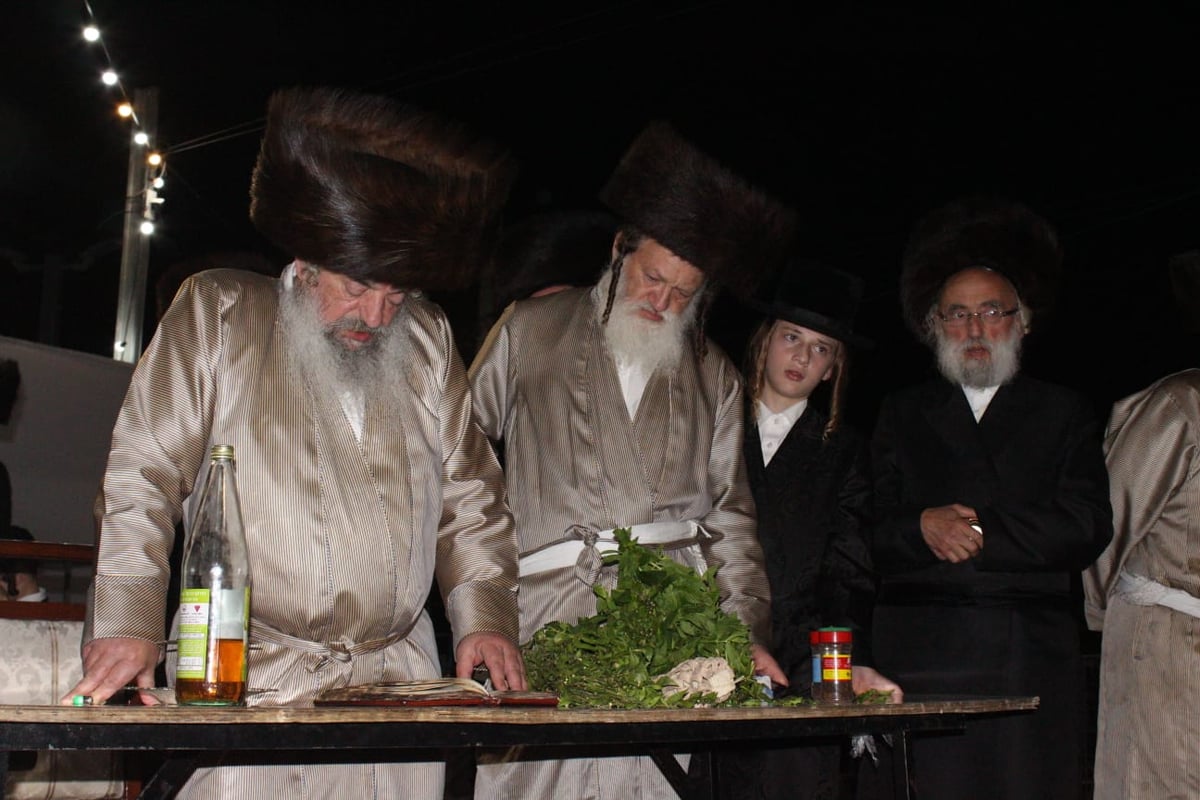 בראשות הרבי: הלעלובר'ס כבשו את מירון