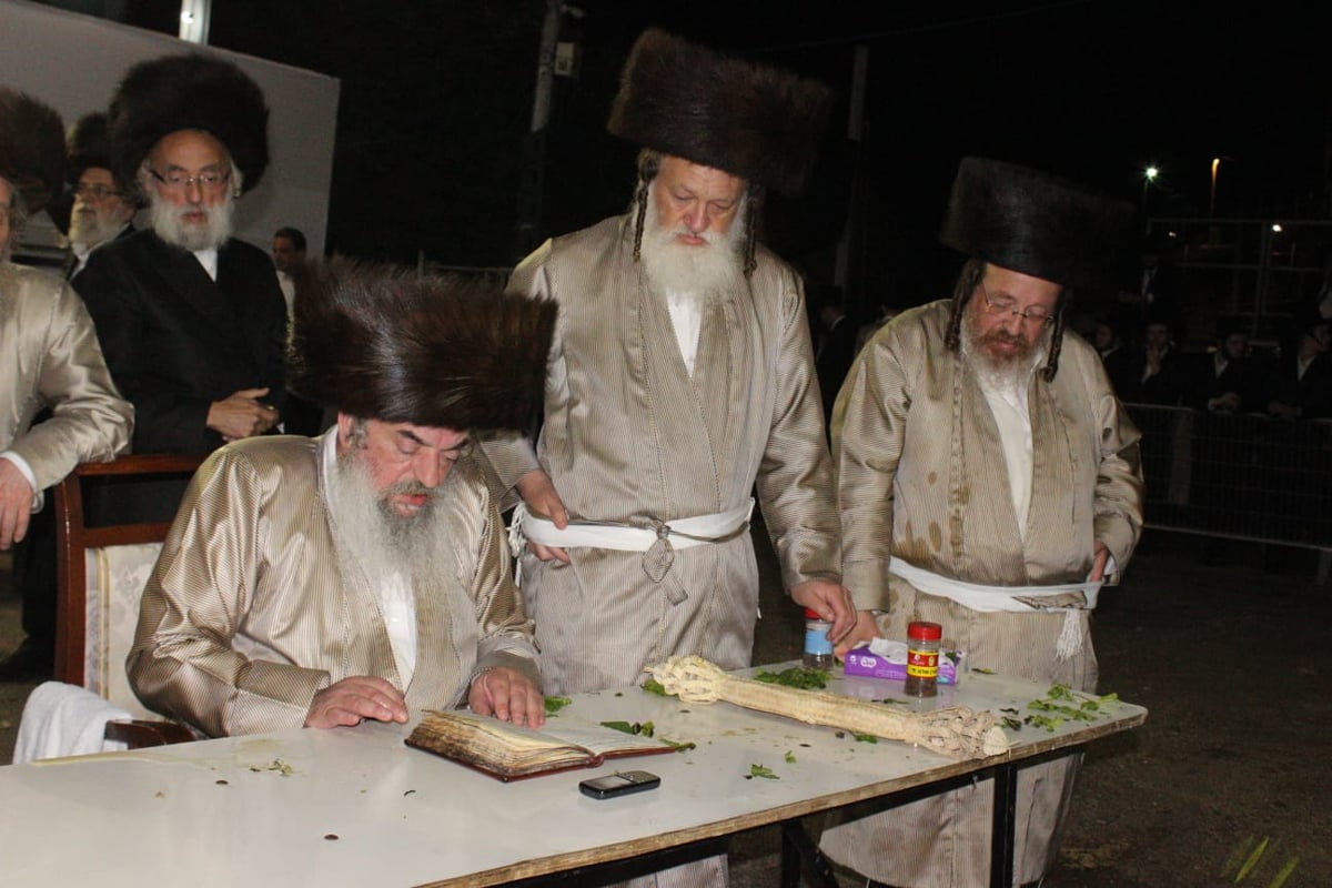 בראשות הרבי: הלעלובר'ס כבשו את מירון