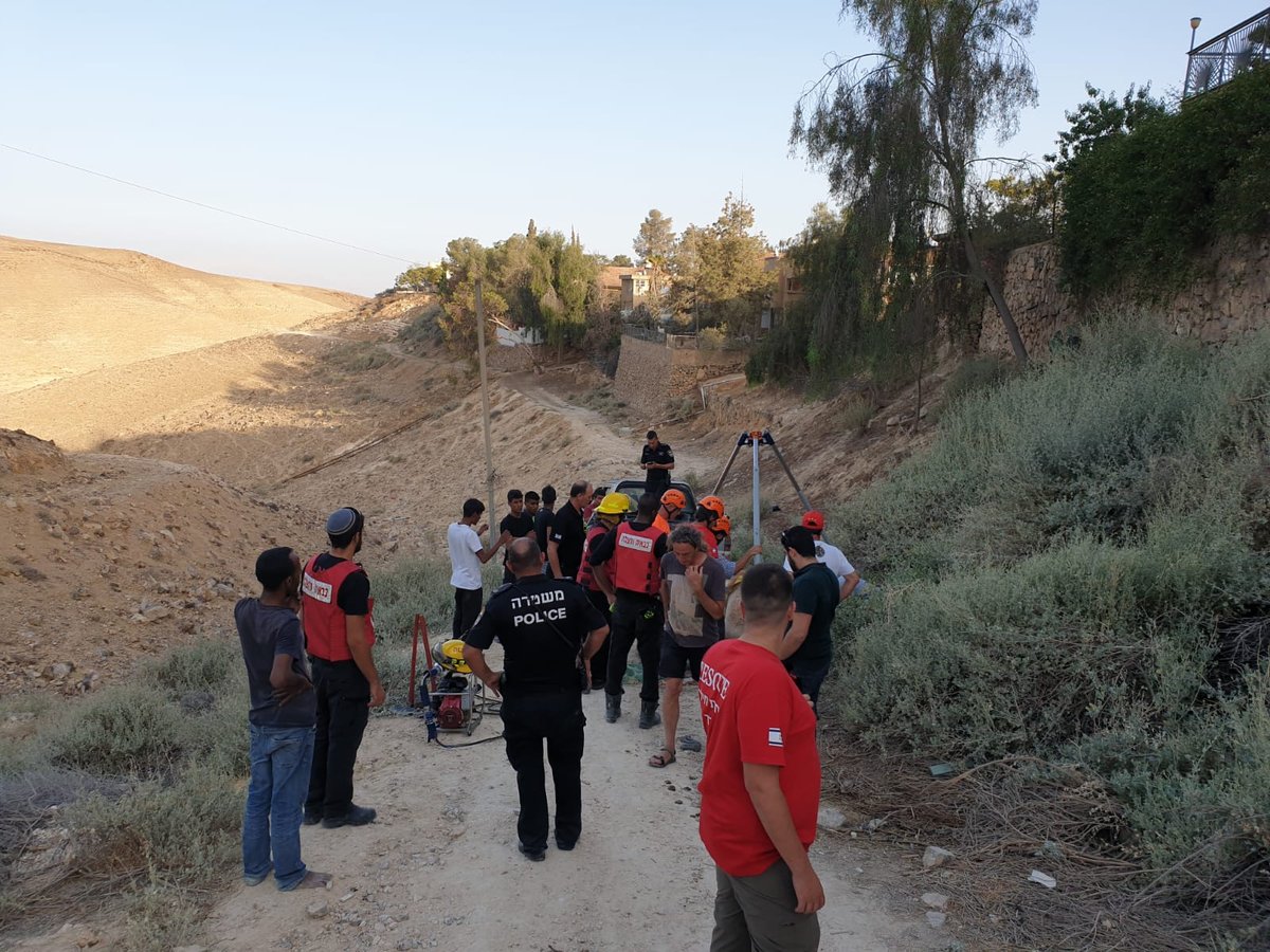 תיעוד: הגמל נפל לבור הביוב - וחולץ בשלום