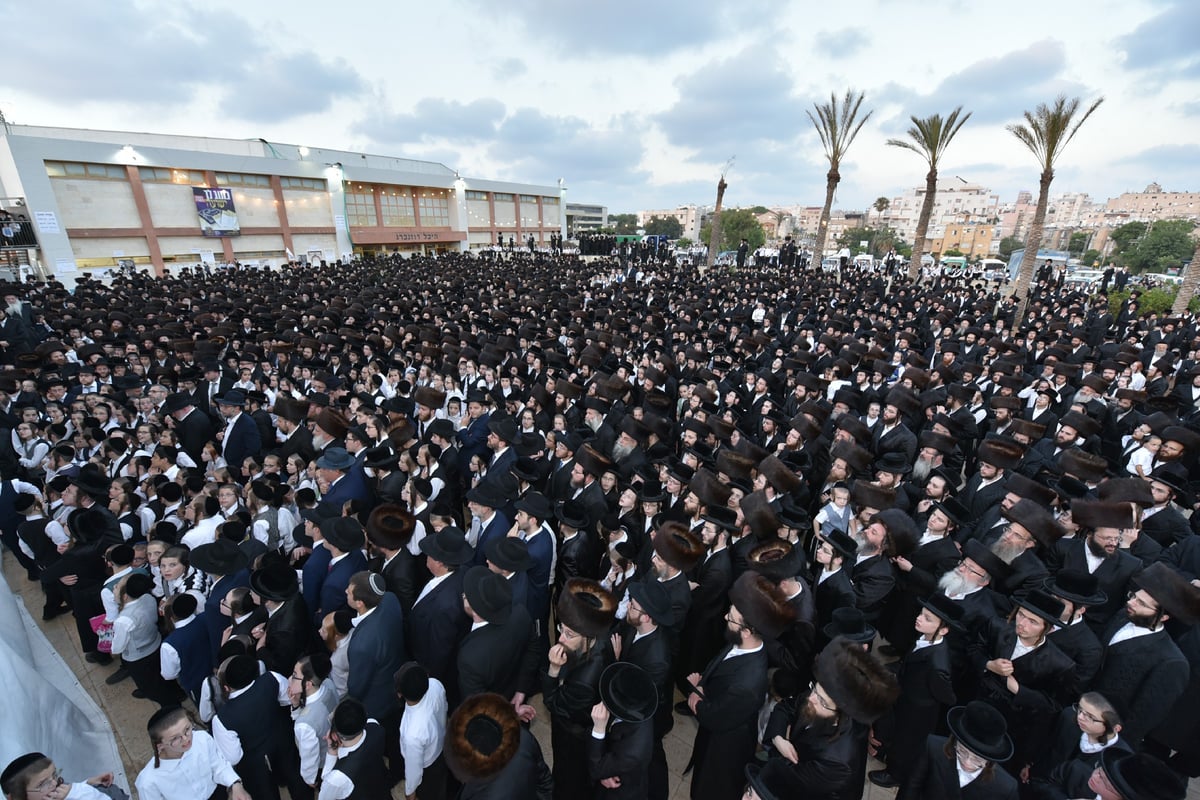 אלפים בחתונת נכדו של האדמו"ר מצאנז. צפו