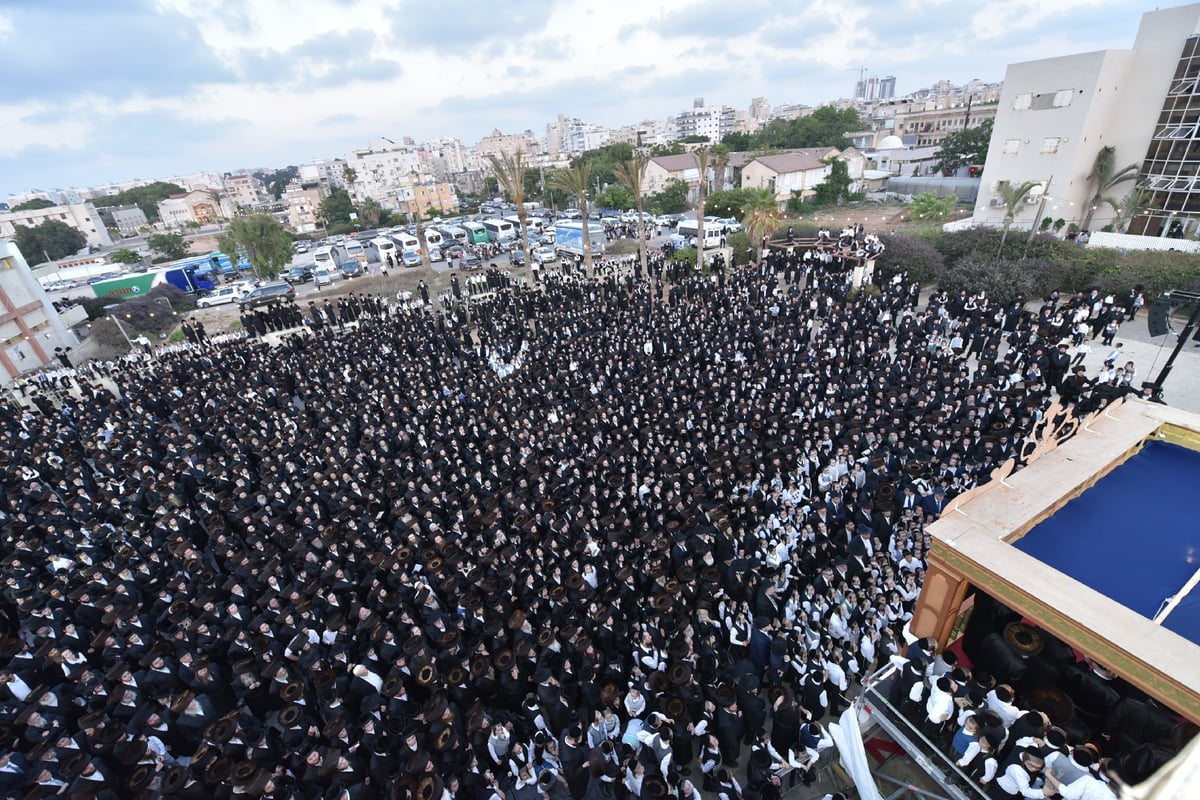 אלפים בחתונת נכדו של האדמו"ר מצאנז. צפו