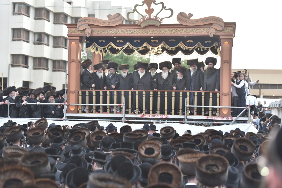 אלפים בחתונת נכדו של האדמו"ר מצאנז. צפו