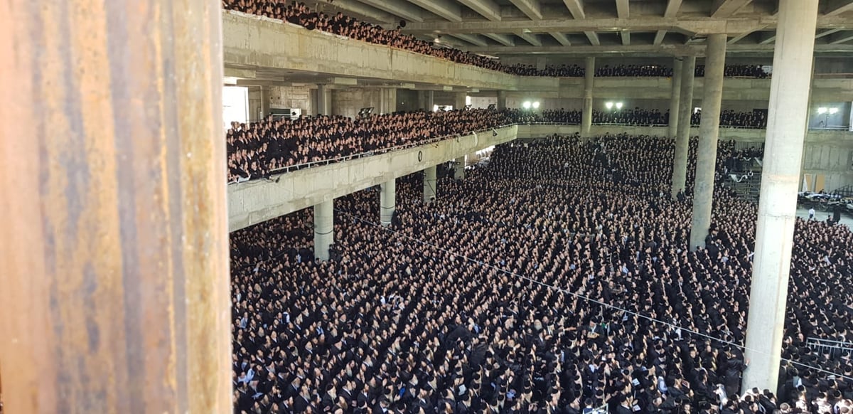 הגוי צילם: כך נראה 'טיש' חג השבועות בגור