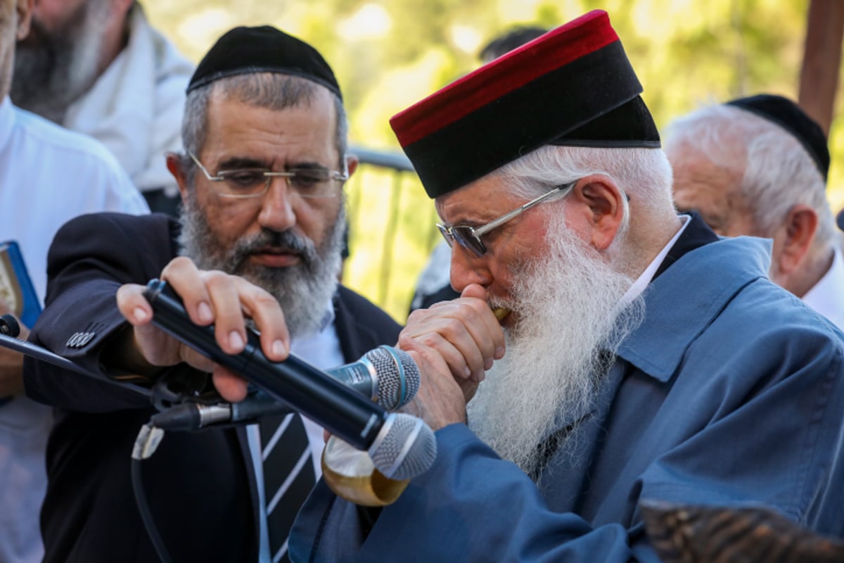 כך נראה "תיקון אלף השופרות" בעמוקה