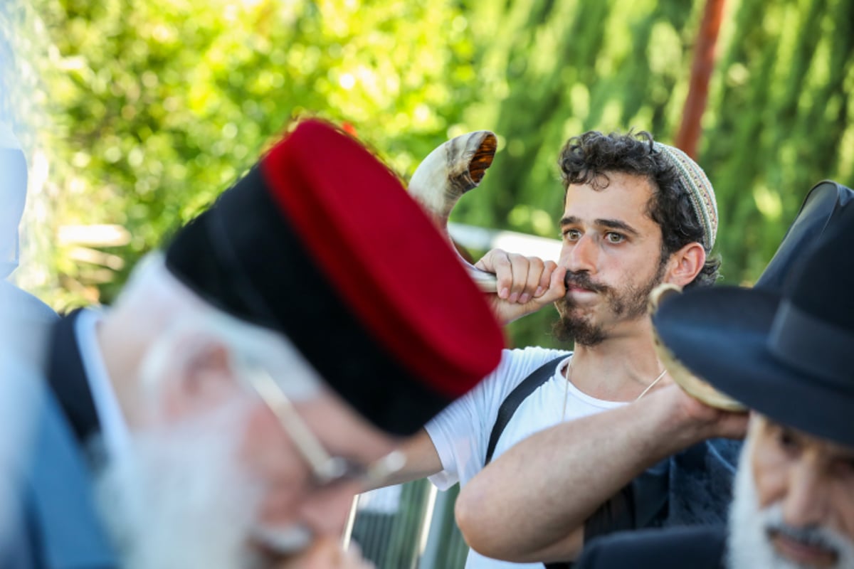 כך נראה "תיקון אלף השופרות" בעמוקה