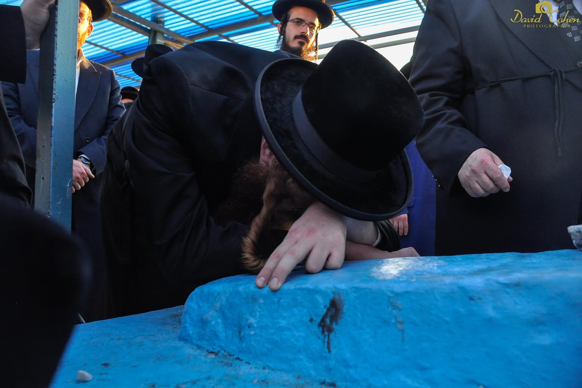 האדמו"ר מקאליב במסע קברי צדיקים • צפו