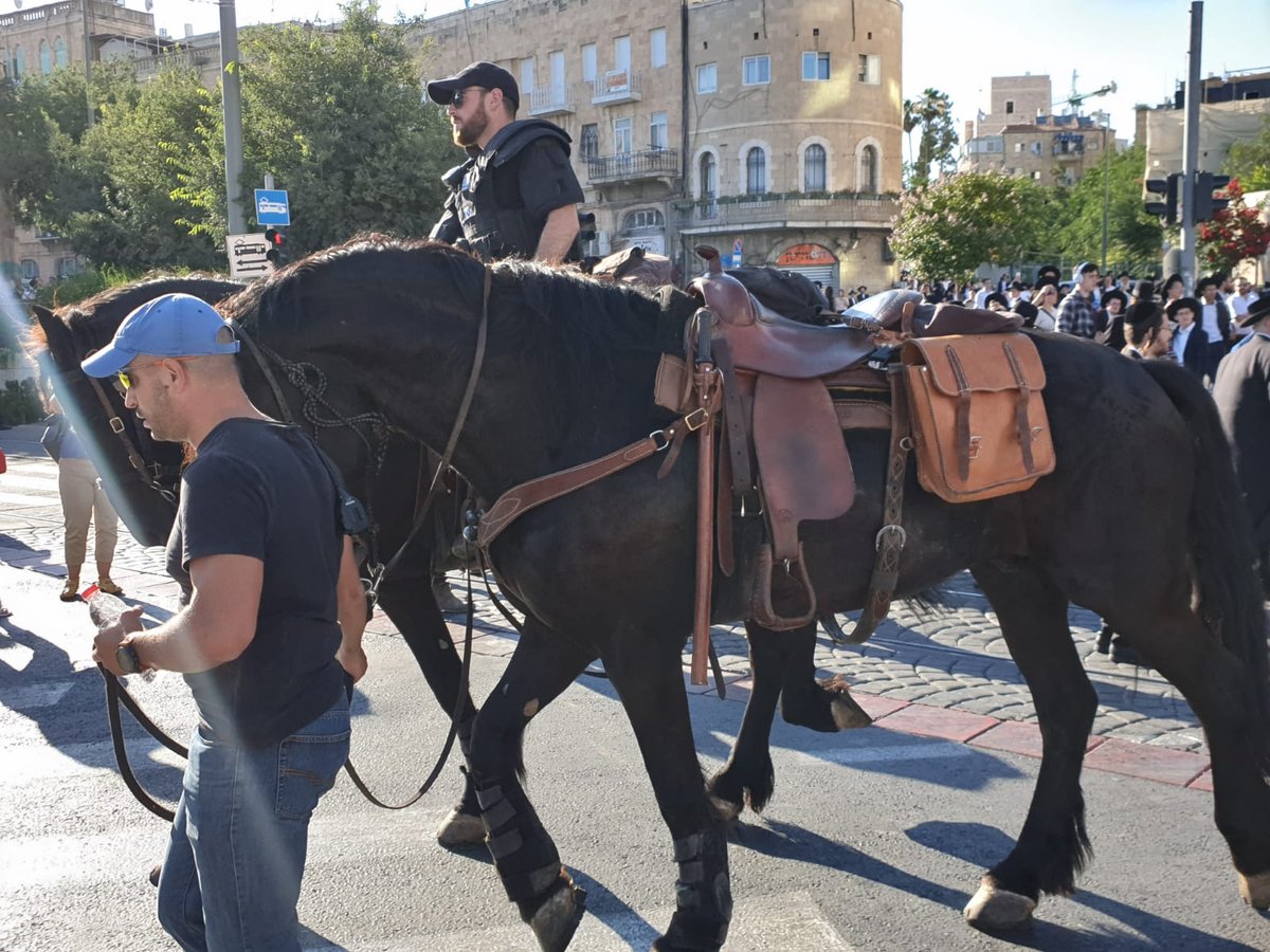 הפגנת 'הפלג' בירושלים: עימותים עם שוטרים; 22 עצורים