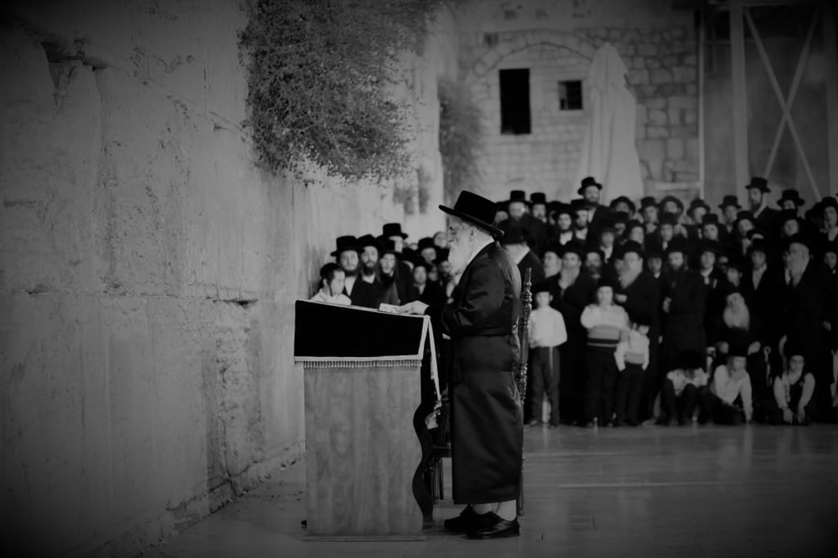 לקראת החתונה: האדמו"ר מויז'ניץ בכותל המערבי