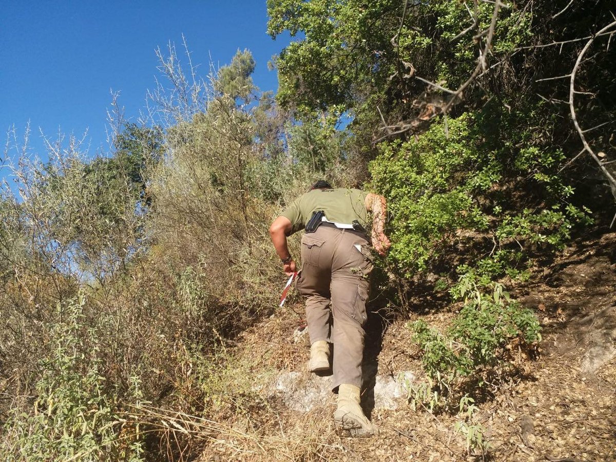 "מקווים שהוא בחיים": כך מתנהלים החיפושים אחר משה אילוביץ